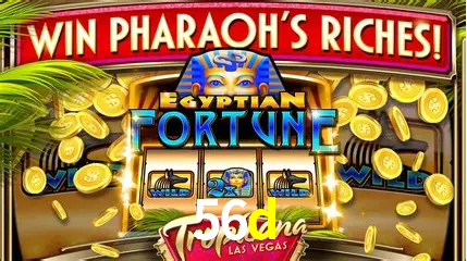 Descubra a Essência do 56d: Nossa História e Compromissos